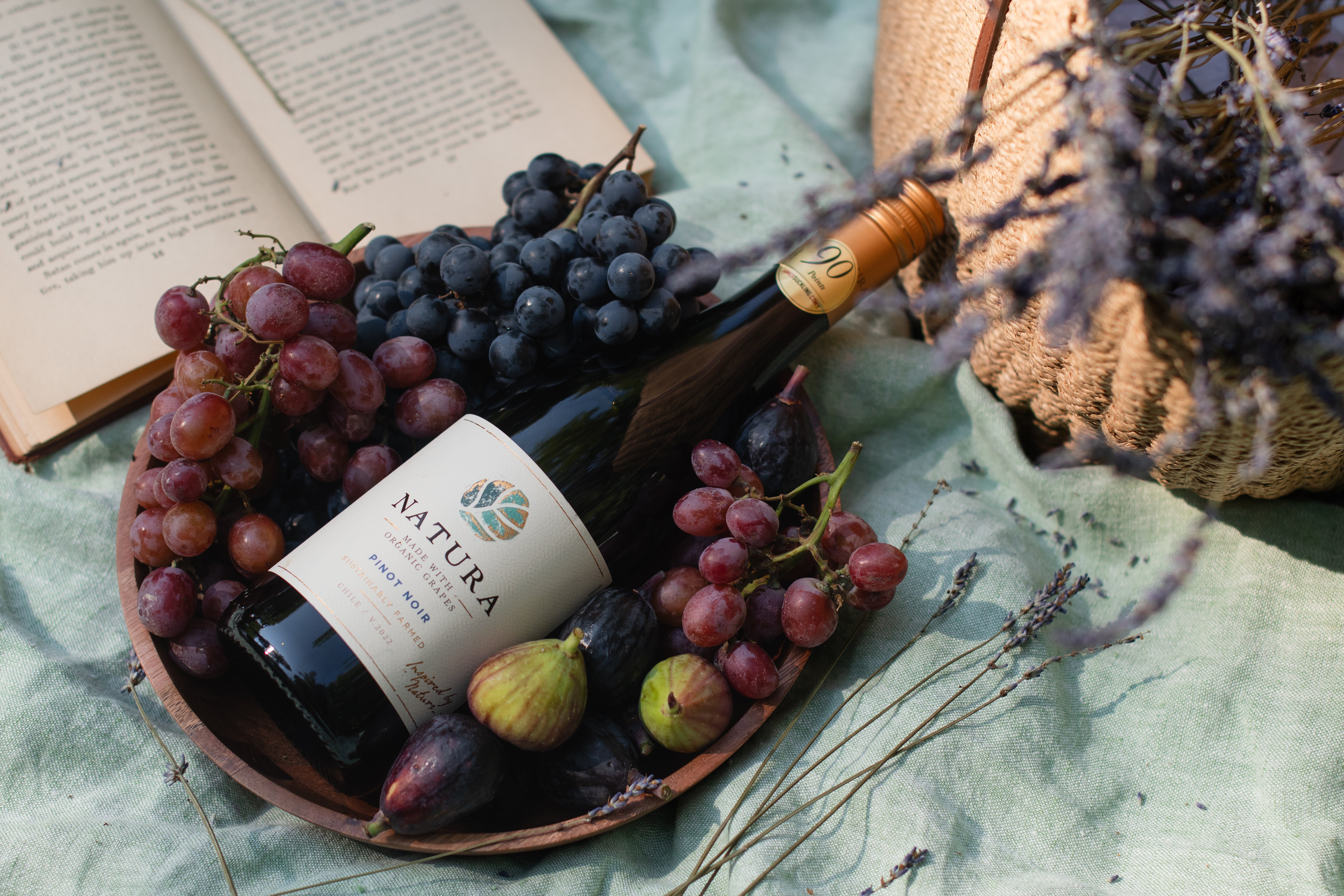 Natura 2-Pack (Pinot Noir & Natura Cabernet Sauvignon) – Banfi